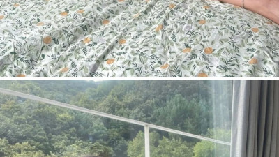 여캠 출신 중 몸매 제일 좋음 ㄹㅇ